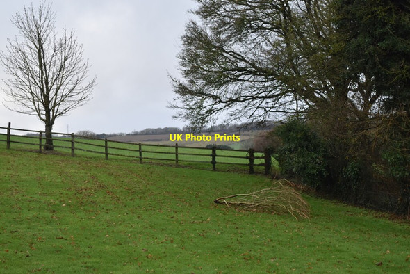 Photo 6"x4" Corner of field below Bottom Farm Owslebury c2021