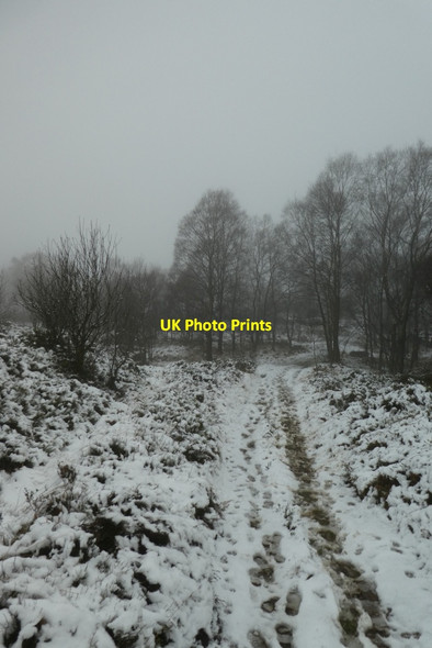 Photo 6"x4" Snow on the Nidderdale Way Warsill c2021