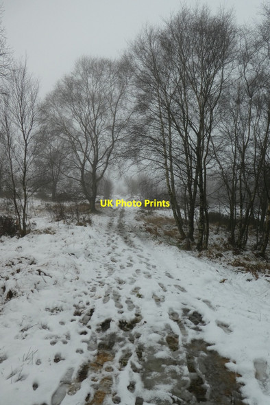 Photo 6"x4" Well trodden path in the snow Warsill c2021