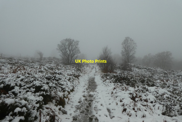 Photo 6"x4" Snow covered Nidderdale Way Warsill c2021