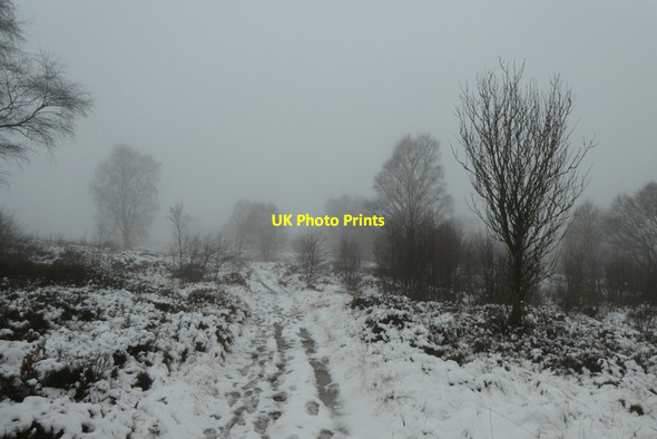 Photo 6"x4" Snow covered path on Brimham Moor Warsill c2021