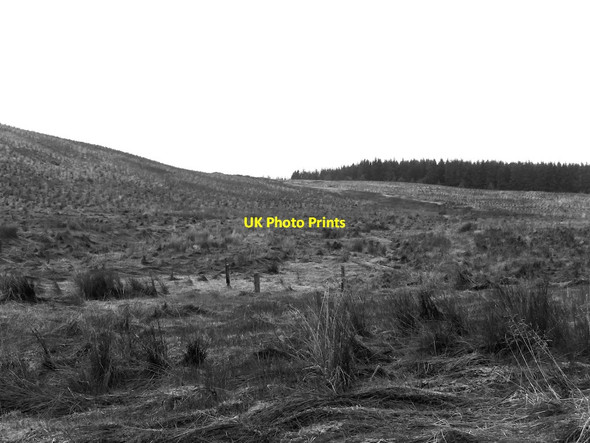 Photo 6"x4" Remains of a fence, Black Grain Yarrow\/NT3527 c2021