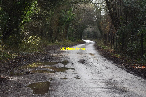 Photo 6"x4" Lower Baybridge Lane Hensting c2021