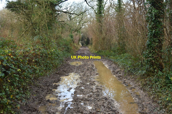 Photo 6"x4" A very muddy Red Lane Blackdown\/SU5322 c2021