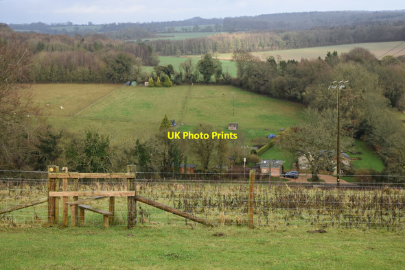 Photo 6"x4" View downhill to Green Lane Cottage Blackdown\/SU5322 c2021