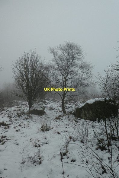 Photo 6"x4" Snow on the Nidderdale Way Smelthouses c2021