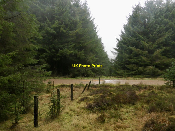 Photo 6"x4" Ride and road, Kirkhope Forest Paddock Burn c2021