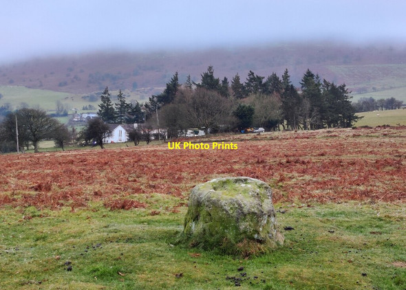 Photo 6"x4" Standing stone at the Mitchell\u00e2\u0080\u0099s Fold Stone Circle White Grit c2021