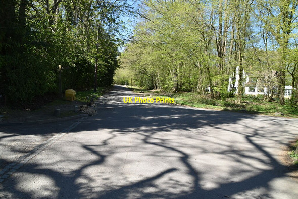 Photo 6"x4" Carlton Rd Blindley Heath c2021