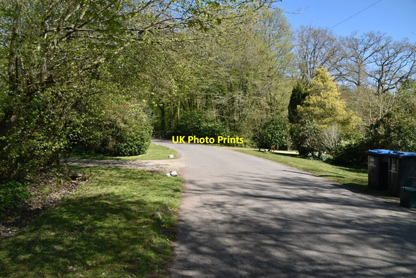 Photo 6"x4" Carlton Rd Blindley Heath c2021 P1