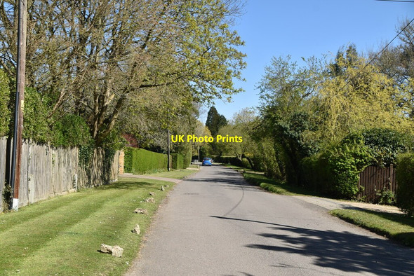 Photo 6"x4" Carlton Rd Blindley Heath c2021