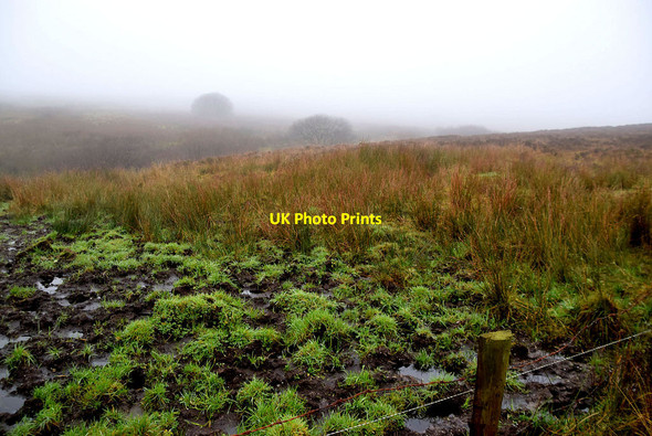 Photo 6"x4" Muddy ground, Tattykeel (Rodgers) Drumquin c2021