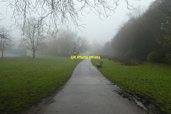 Photo 6"x4" Path in the Valley Gardens Harrogate c2021