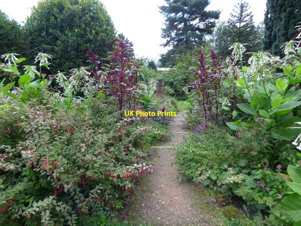 Photo 6"x4" Steps through the herbaceous borders Blackbrook\/SJ7639 c2017