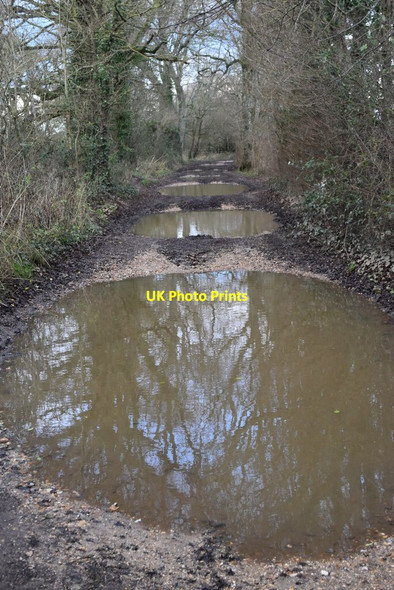 Photo 6"x4" Puddleslosh Lane Fordingbridge c2021