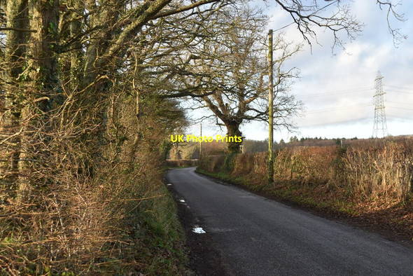 Photo 6"x4" Whitsbury Road Fordingbridge c2021