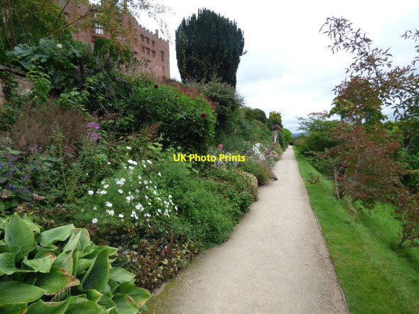 Photo 6"x4" Herbaceous border on the lower terrace Welshpool\/Y Trallwng c2017