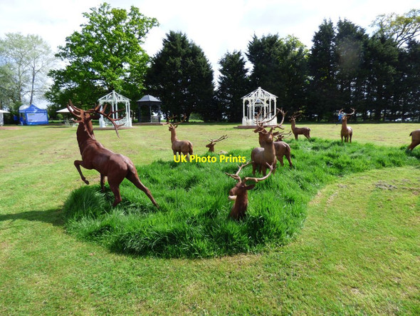 Photo 6"x4" Herd of iron deer Wootton\/SJ3427 c2017