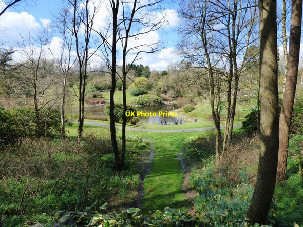 Photo 6"x4" View of one of the lakes from a sitting area Consall c2017