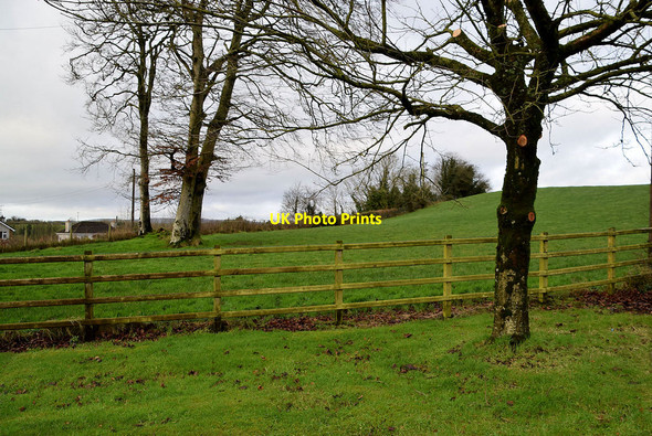 Photo 6"x4" Doogary Townland Omagh c2021