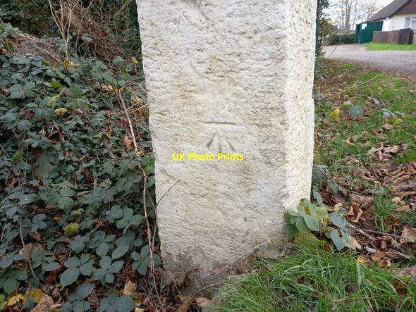 Photo 6"x4" Thorne, Bank House Farm Hatfield Chase c2021