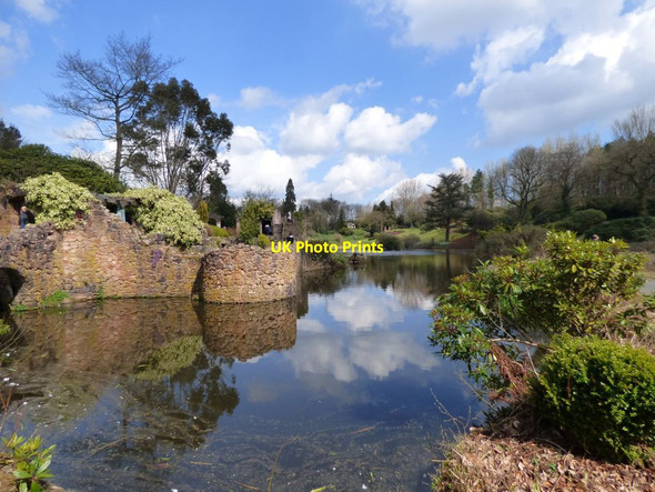 Photo 6"x4" View across the lake from next to the Folly Consall c2017