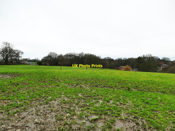 Photo 6"x4" Field west of Houndings Lane Sandbach c2021