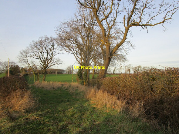Photo 6"x4" Field entrance, Osgodby Irnham c2021