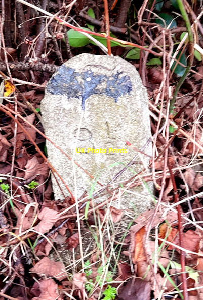 Photo 6"x4" Milestone, Erewash Canal Ilkeston c2022