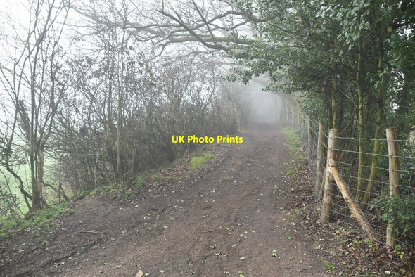 Photo 6"x4" North Downs Way Force Green c2021