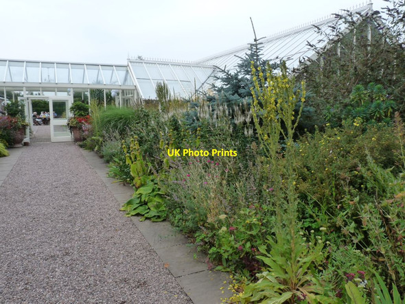 Photo 6"x4" Herbaceous border on the entrance to Abbeywood Gardens Delamere\/SJ5669 c2015