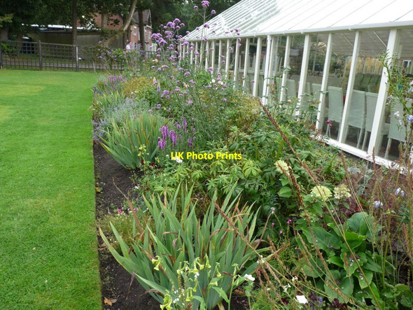 Photo 6"x4" Flower bed by the Cafe Delamere\/SJ5669 c2015