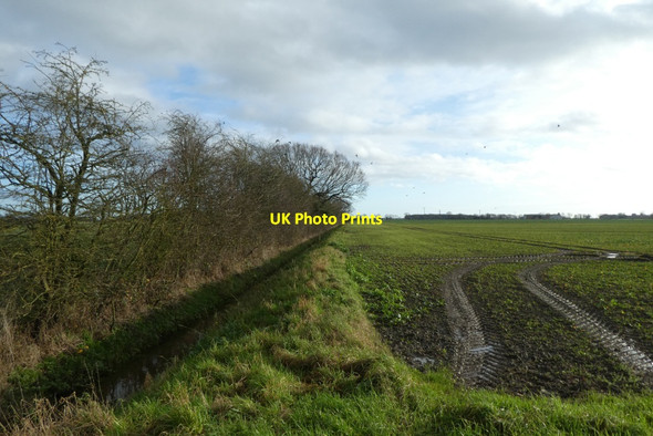 Photo 6"x4" Field drain beside Broad Lane Biggin\/SE5434 c2022