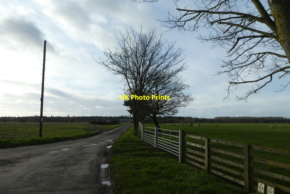 Photo 6"x4" Hagg Lane Biggin\/SE5434 c2022
