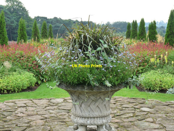 Photo 6"x4" Plant filled urn Delamere\/SJ5669 c2015