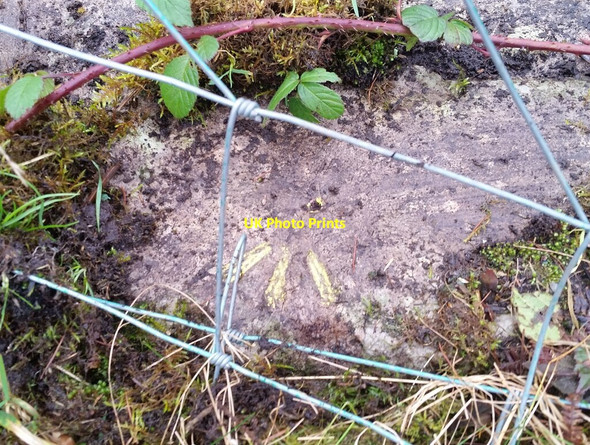 Photo 6"x4" Ordnance Survey Rivet Llwyn-on Village c2022