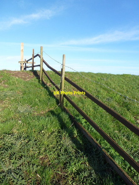 Photo 6"x4" Recycled fencing Far Bank\/SE6413 c2022