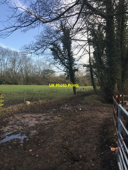 Photo 6"x4" Muddy Bridleway Eydon c2022