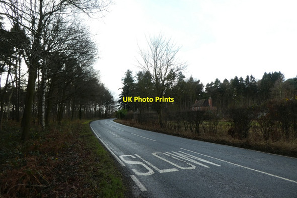Photo 6"x4" Bend on Scalm Lane Biggin\/SE5434 c2022