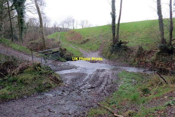 Photo 6"x4" Llwybr y Parc \/ Parc footpath Manordeilo c2022 P1