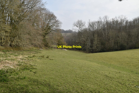 Photo 6"x4" Pasture and Pooks Wood Hurst Green\/TQ7327 c2021