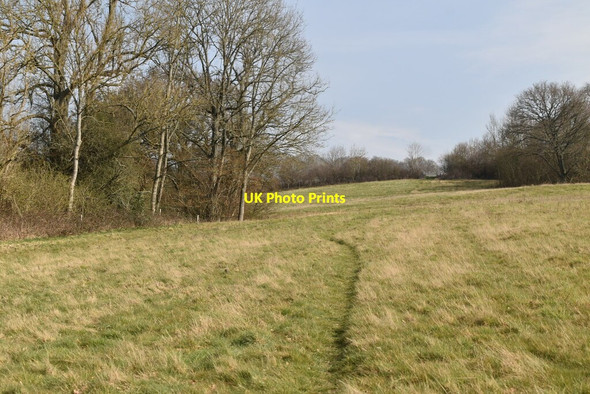 Photo 6"x4" Pasture by Kent Ditch Hurst Green\/TQ7327 c2021