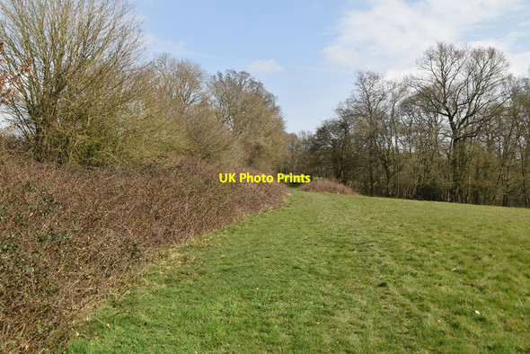 Photo 6"x4" Footpath to Bokes Farm Seacox Heath c2021