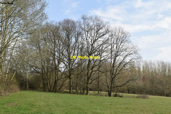 Photo 6"x4" Wooded pond Seacox Heath c2021