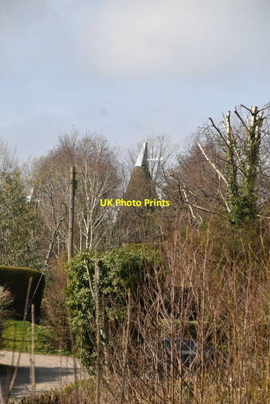 Photo 6"x4" Little Bokes Seacox Heath c2021