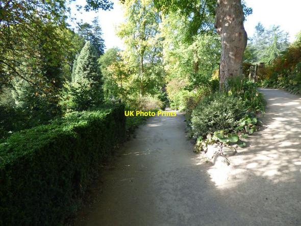 Photo 6"x4" Choice of paths Welshpool\/Y Trallwng c2016