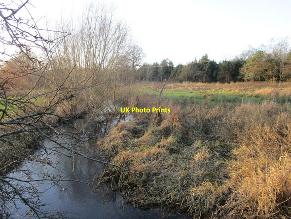 Photo 6"x4" The River Meden at Gleadthorpe Budby c2022
