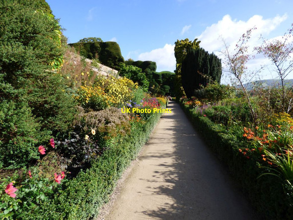 Photo 6"x4" Herbaceous borders on the middle terrace Welshpool\/Y Trallwng c2016