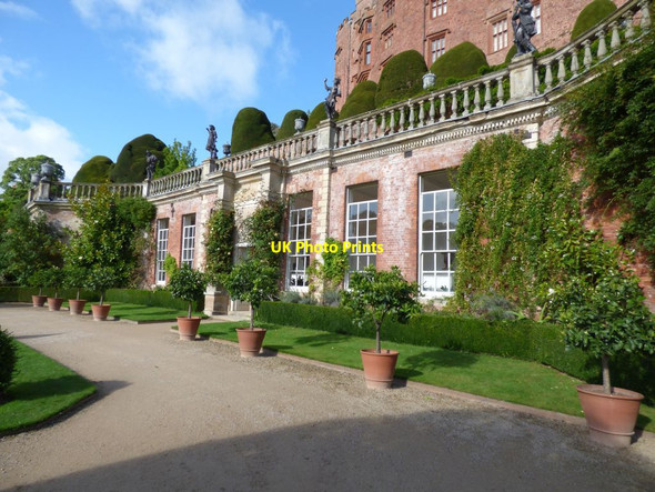 Photo 6"x4" Lemon trees outside the Orangery Welshpool\/Y Trallwng c2016