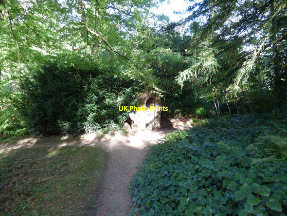 Photo 6"x4" Path to the Ice House Welshpool\/Y Trallwng c2016